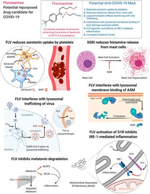 Fluvoxamine: A Review of Its Mechanism of Action and Its Role in COVID-19